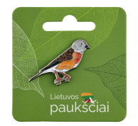 Ženkliukas čivylis
